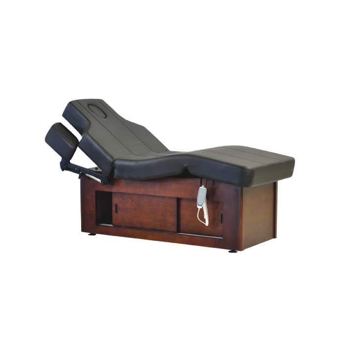 Raman Electric Spa Massage Table